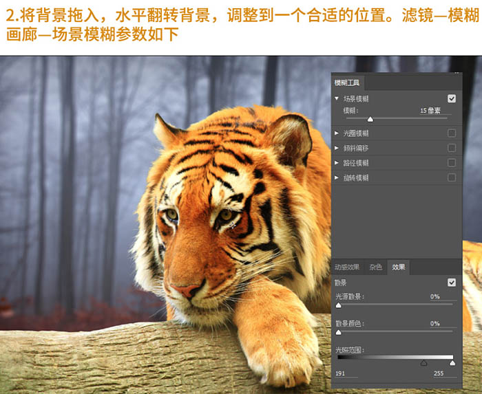老虎胳膊翻转视频教程下载(老虎胳膊翻转视频教程下载安装)