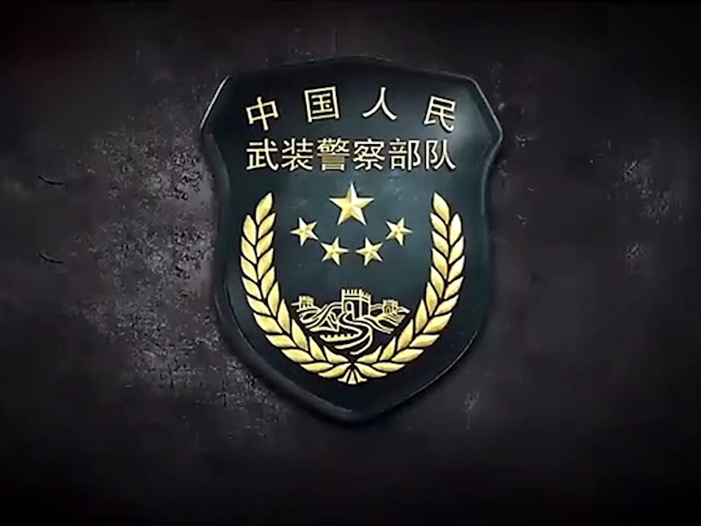 军人点火视频大全下载软件(军人点火视频大全下载软件安装)