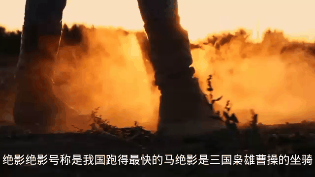 动态战马壁纸下载免费版_(动态战马壁纸下载免费版安卓)